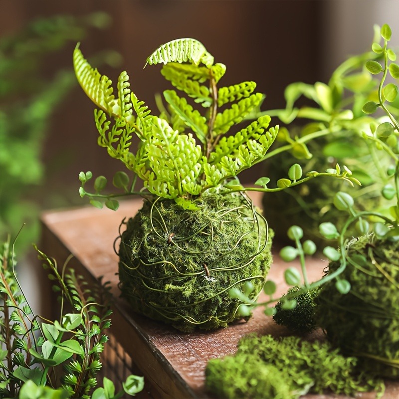 Sphagnum Moss Dry - 인공 이끼볼 화분, 자연 녹색 분재