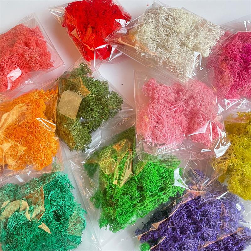 Sphagnum Moss Dry - 20-200g 인공 녹색 식물 폴리 에스터