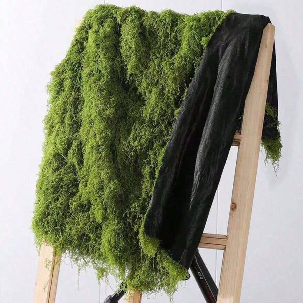 Sphagnum Moss Dry - 1*1m 인조 이끼 DIY 공예 잔디