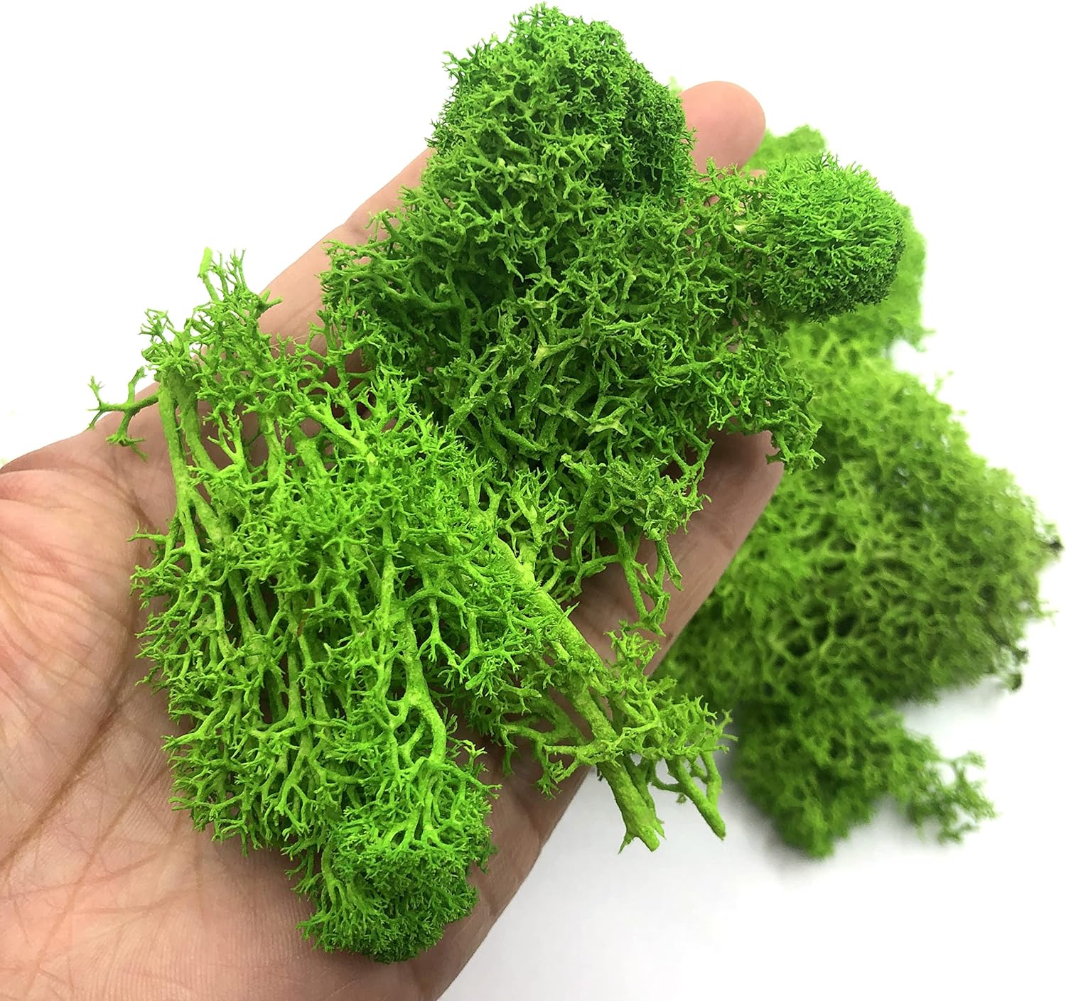 Sphagnum Moss Dry - 200g 인공 녹색 식물 미니 풍경