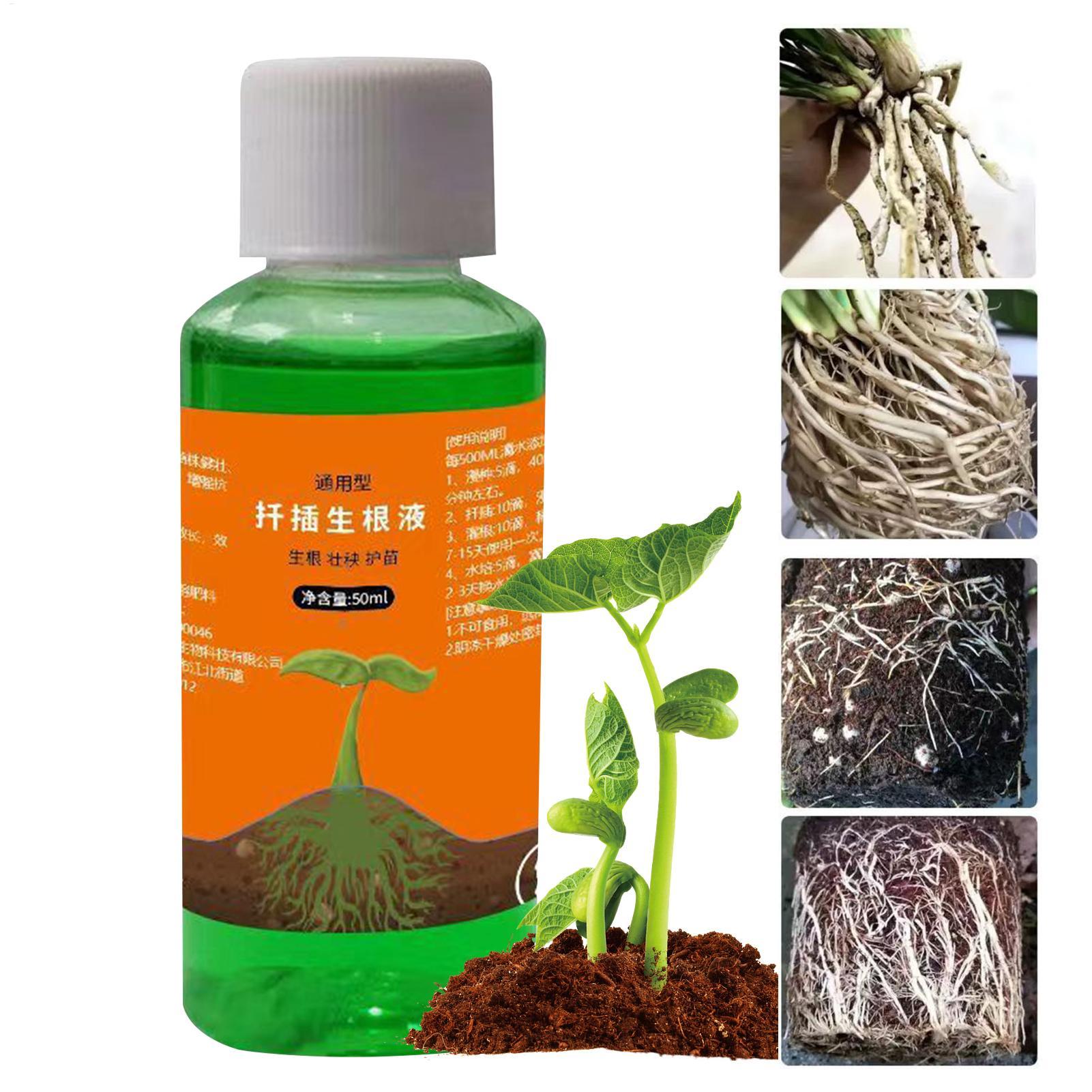 Root Stimulator Liquid - 50ml 식물 재배 영양액, 묘목용 빠른