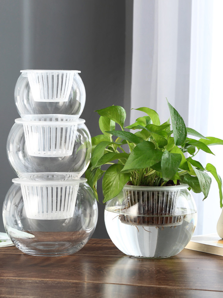 Propagation Station Vase - 수경재배 유리 화병, 유리 그린 딜
