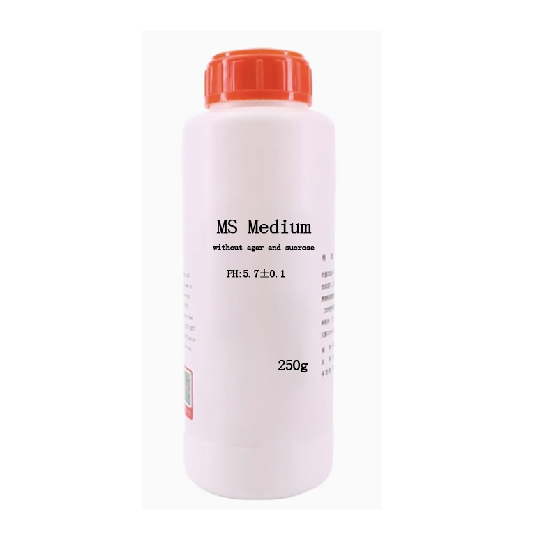 MS 미디엄(아가르, 수크로스 없음) 식물 조직 배양  - Agar Tissue Culture 리뷰 및 가격