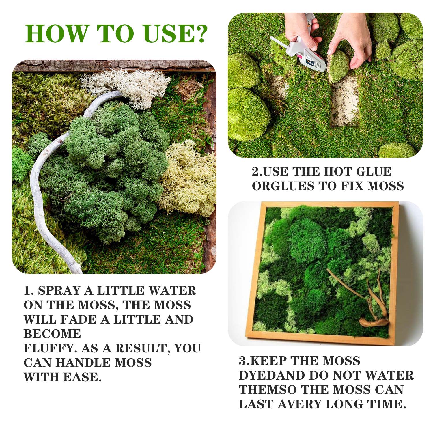 인공 녹색 식물 영원한 생명 이끼 DIY 잔디 정원 공 - Sphagnum Moss Dry 리뷰 및 가격