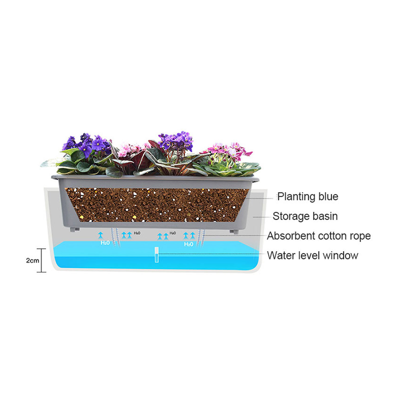 친구 가족 이웃을 위한 편리한 수위 표시기 선물이 포함 - Self Watering Insert 리뷰 및 가격