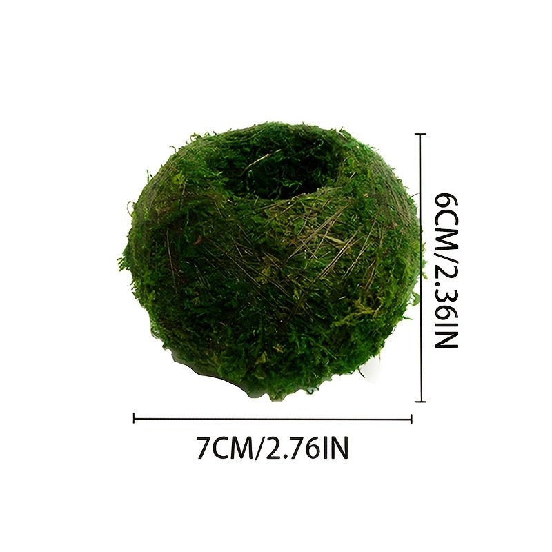 인공 이끼볼 화분, 자연 녹색 분재 화분, 가정 정원용 - Sphagnum Moss Dry 리뷰 및 가격