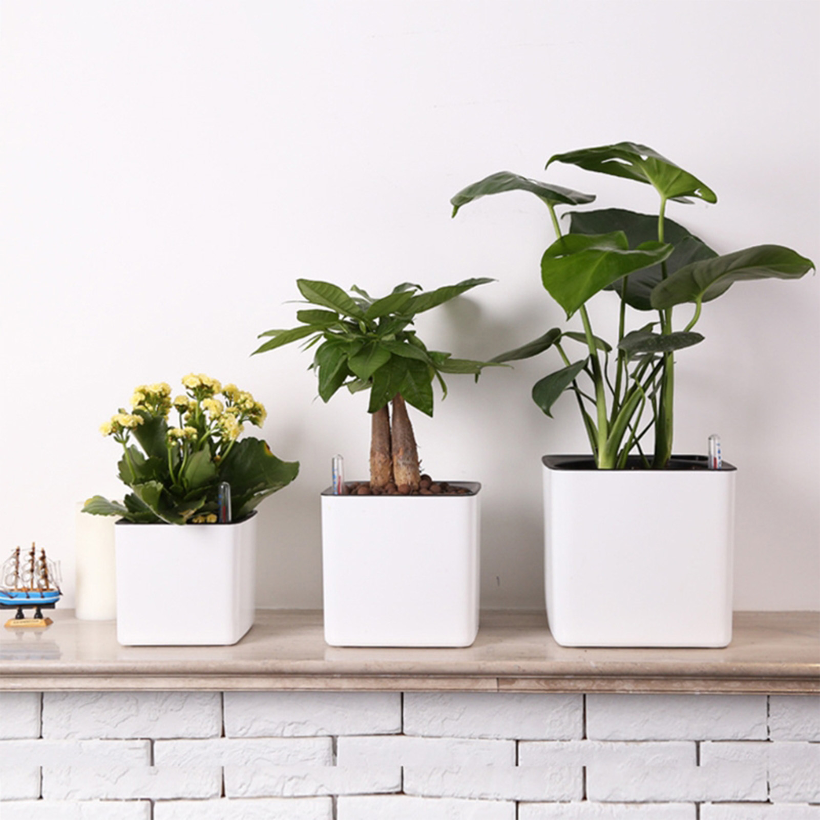자동 급수 화분, 꽃 화분, 거실 장식 플라스틱 화분, - Self Watering Insert 리뷰 및 가격