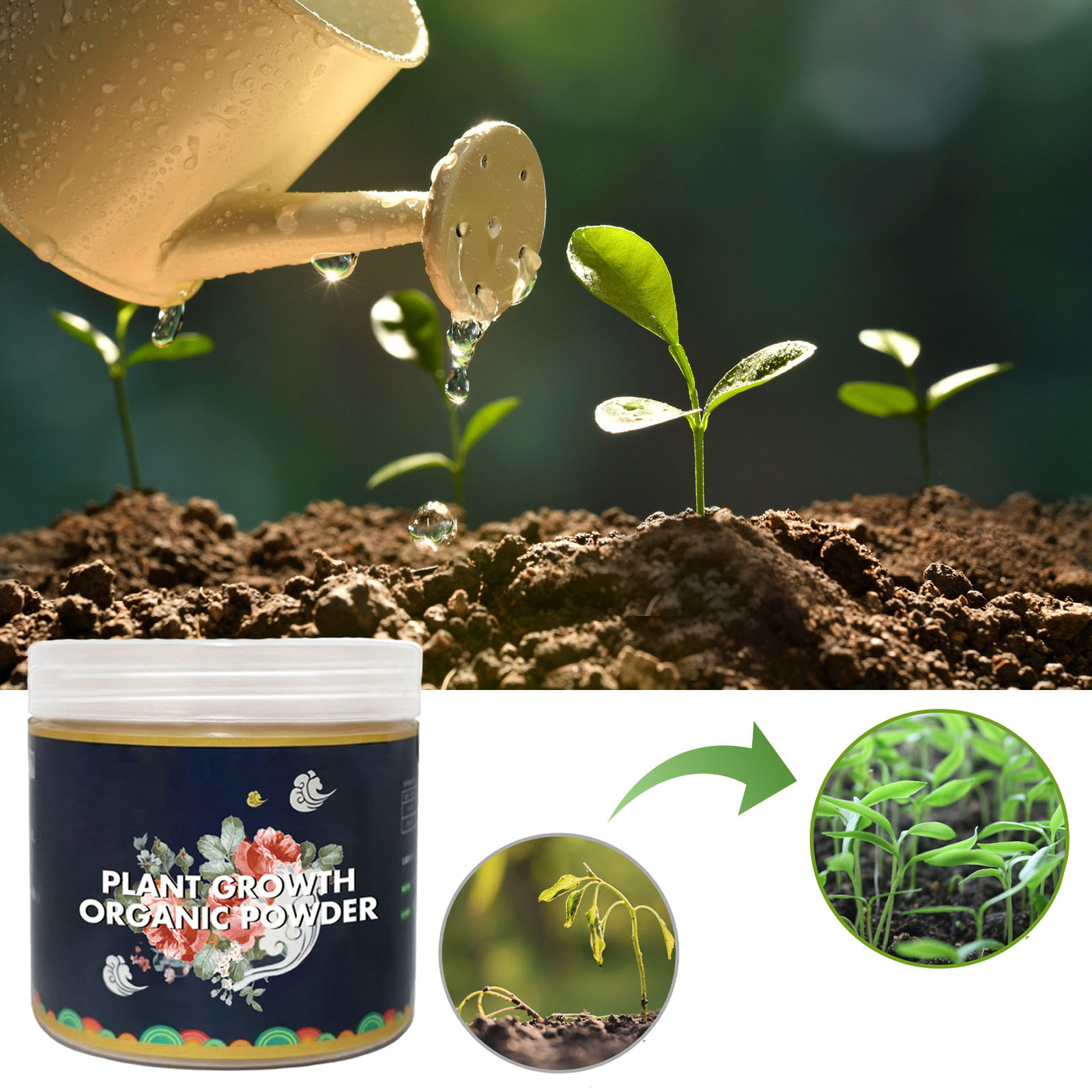 빠른 뿌리 뽑기 분말 식물 토양 개선 풀기, 식물 성장 - Rooting Hormone Powder 리뷰 및 가격