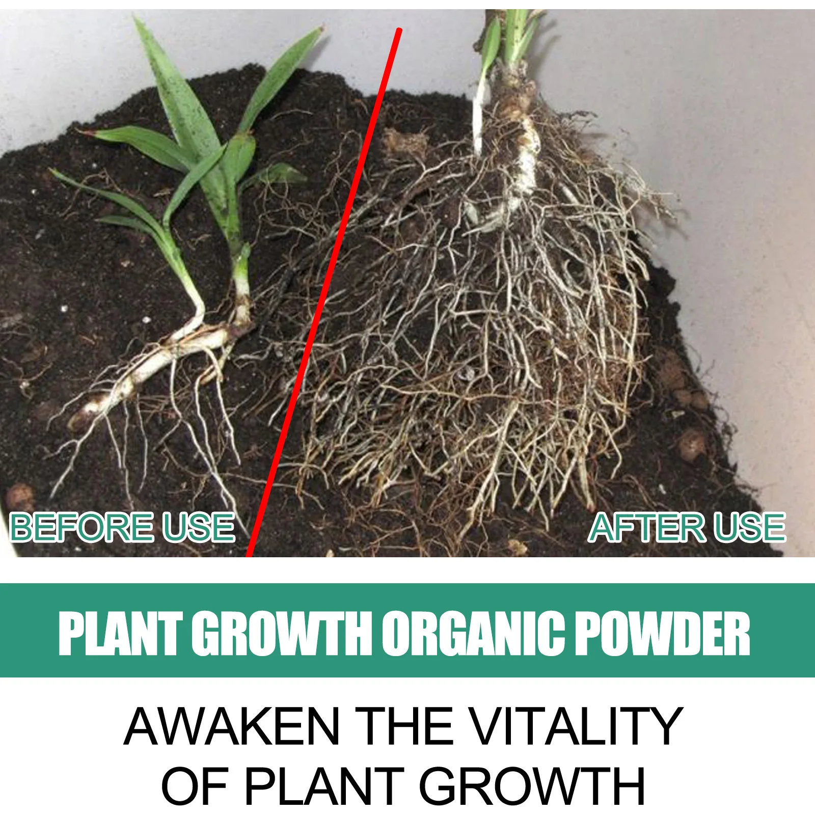 빠른 뿌리 뽑기 분말 식물 토양 개선 풀기, 식물 성장 - Rooting Hormone Powder 리뷰 및 가격