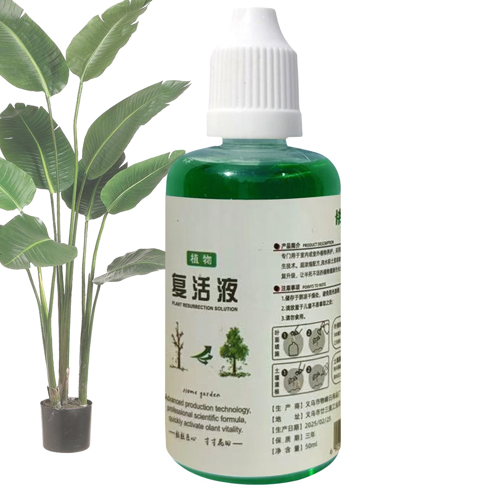 뿌리 자극제 식물 재생액 야채 비료 뿌리 강화제 과일  - Root Stimulator Liquid 리뷰 및 가격