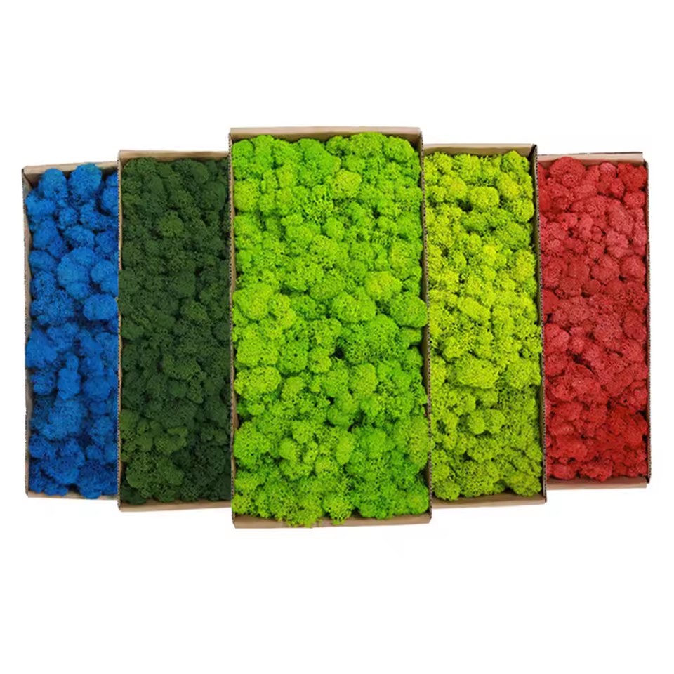 20-200g 인공 녹색 식물 폴리 에스터 이끼 잔디  - Sphagnum Moss Dry 리뷰 및 가격
