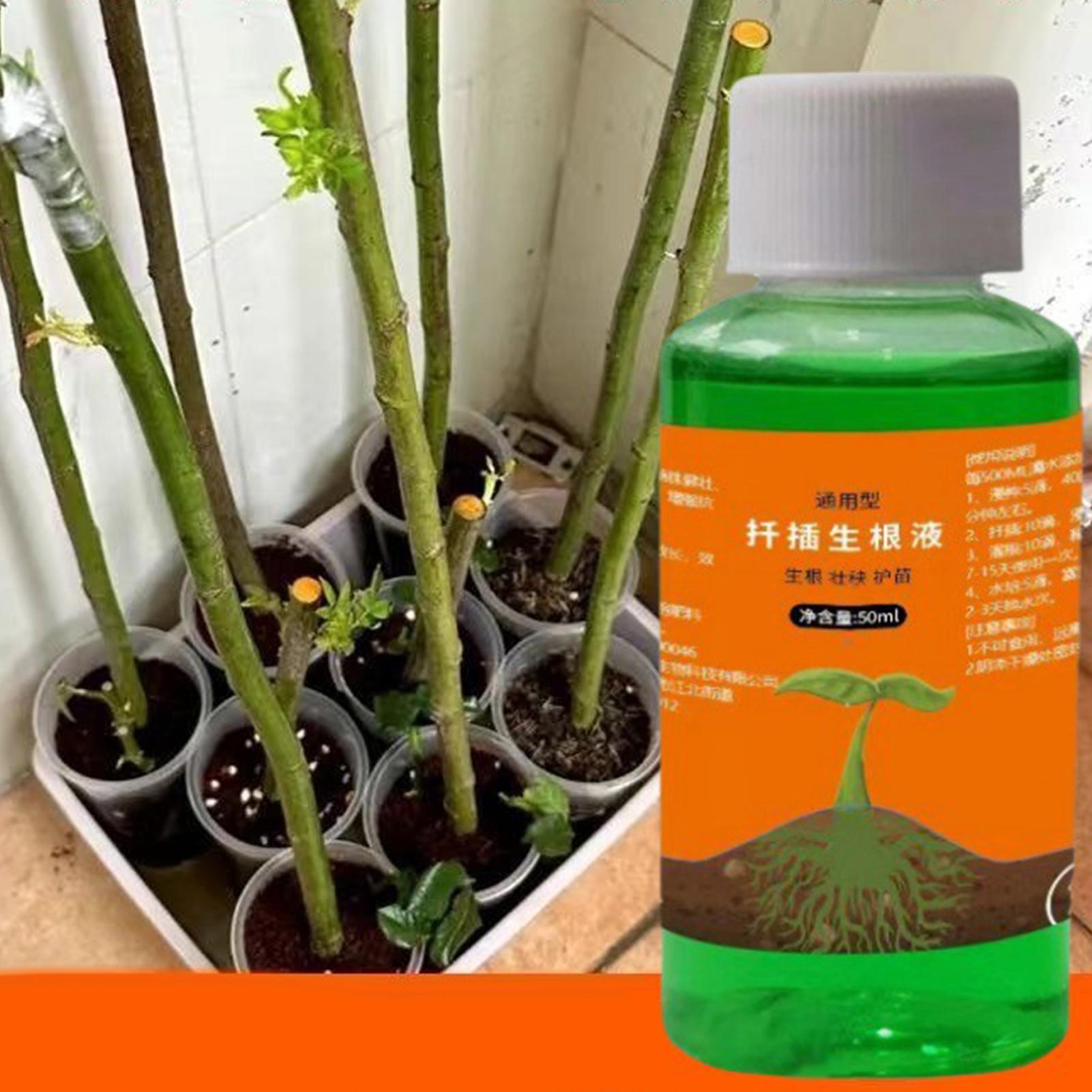 식물 절단용 고효율 뿌리 자극제, 뿌리 성장 촉진제,  - Root Stimulator Liquid 리뷰 및 가격