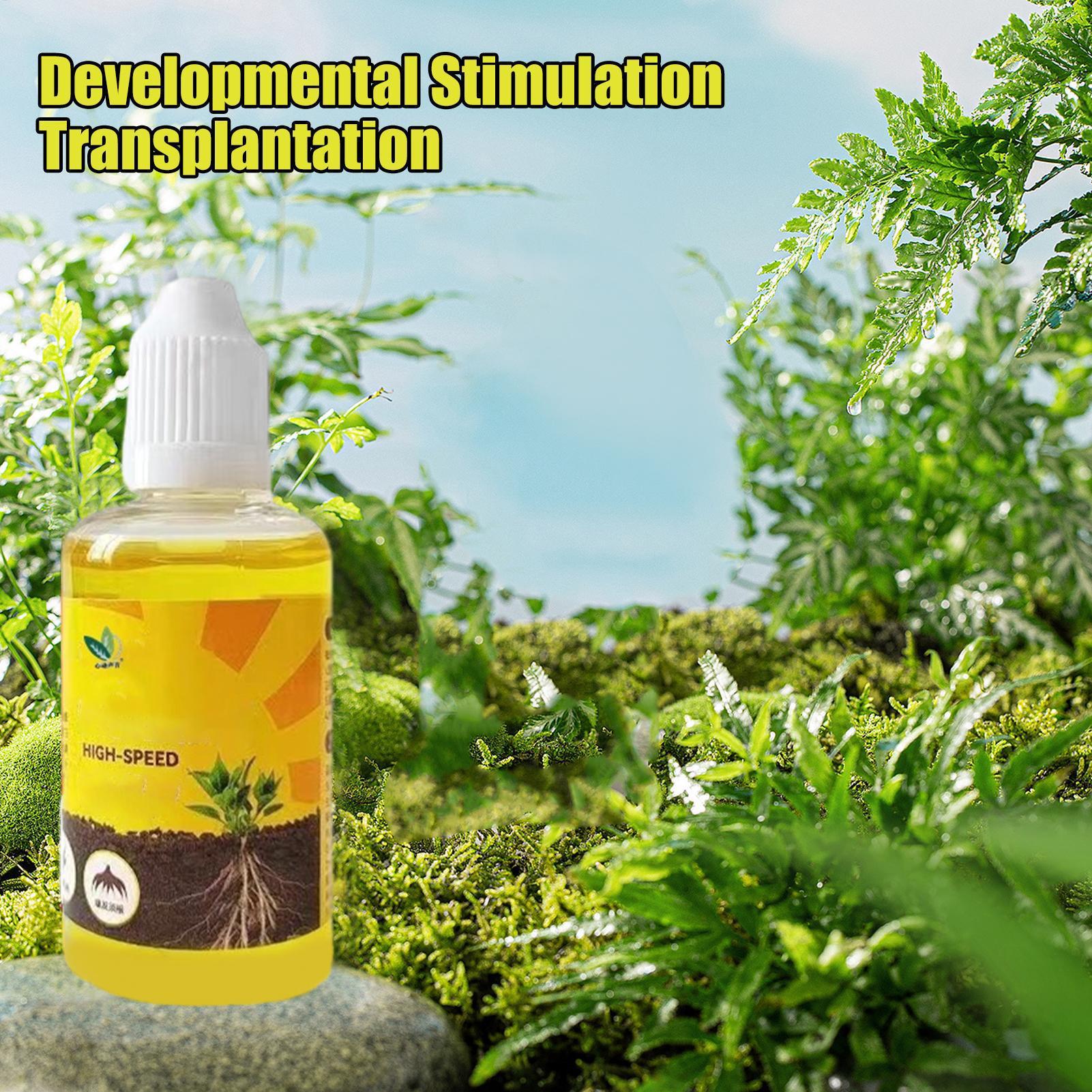 식물 부활 액체 50ml 꽃 과일 야채 비료 영양 솔루 - Root Stimulator Liquid 리뷰 및 가격