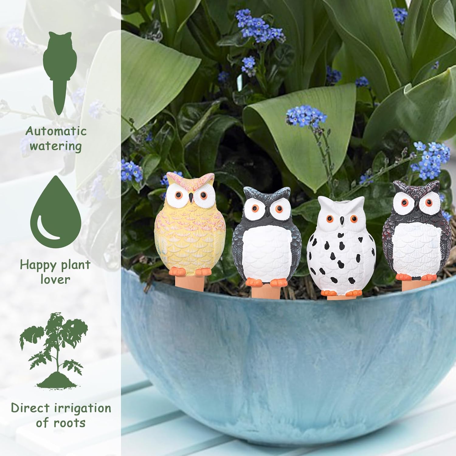 자가 급수 글로브 테라코타 급수 스파이크 식물 급수 장 - Self Watering Insert 리뷰 및 가격