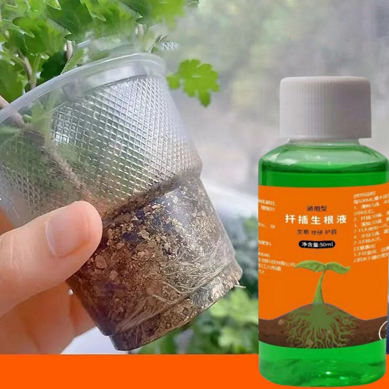 50ml 식물 재배 영양액, 묘목용 빠른 뿌리 성장액, - Root Stimulator Liquid 리뷰 및 가격