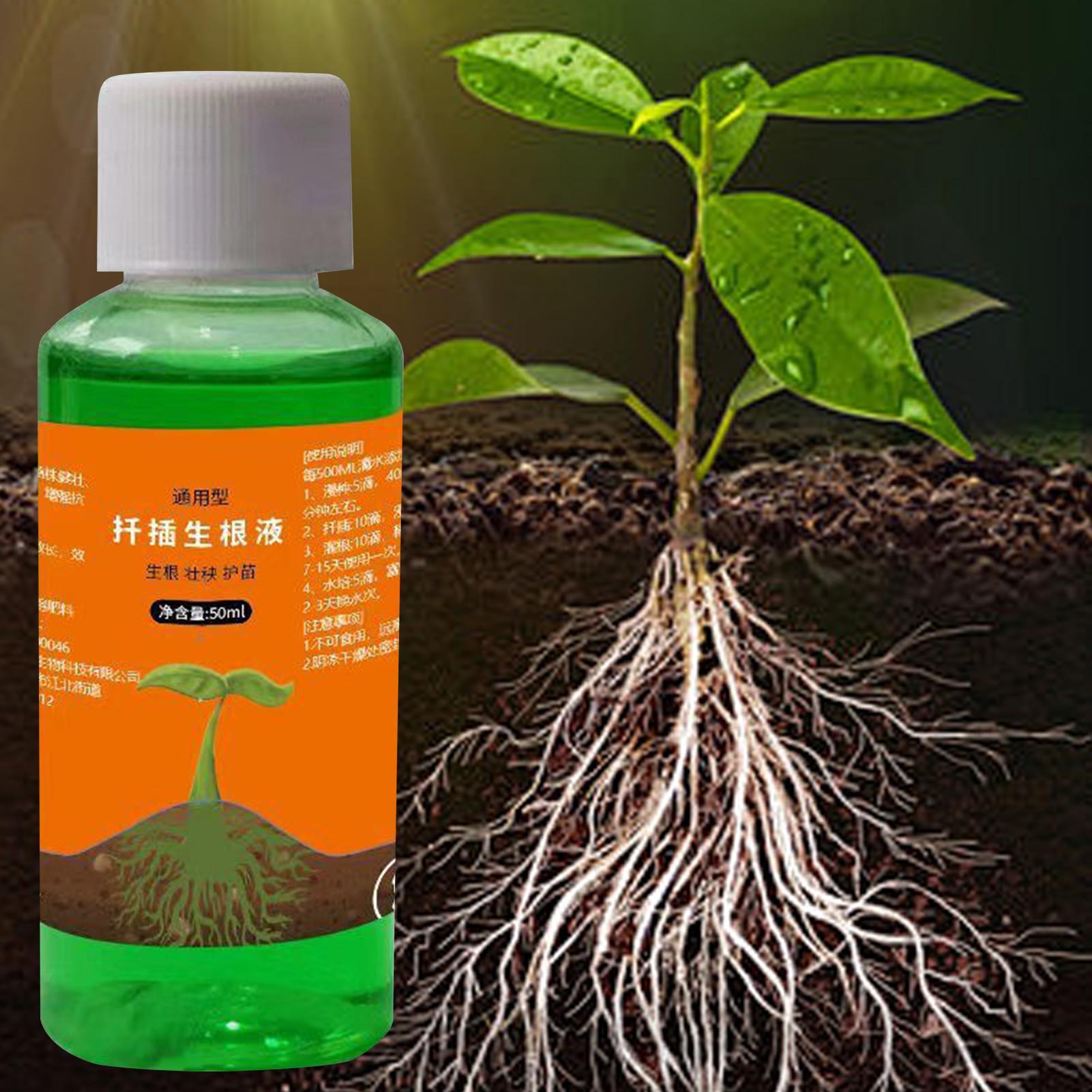 50ml 식물 재배 영양액, 묘목용 빠른 뿌리 성장액, - Root Stimulator Liquid 리뷰 및 가격
