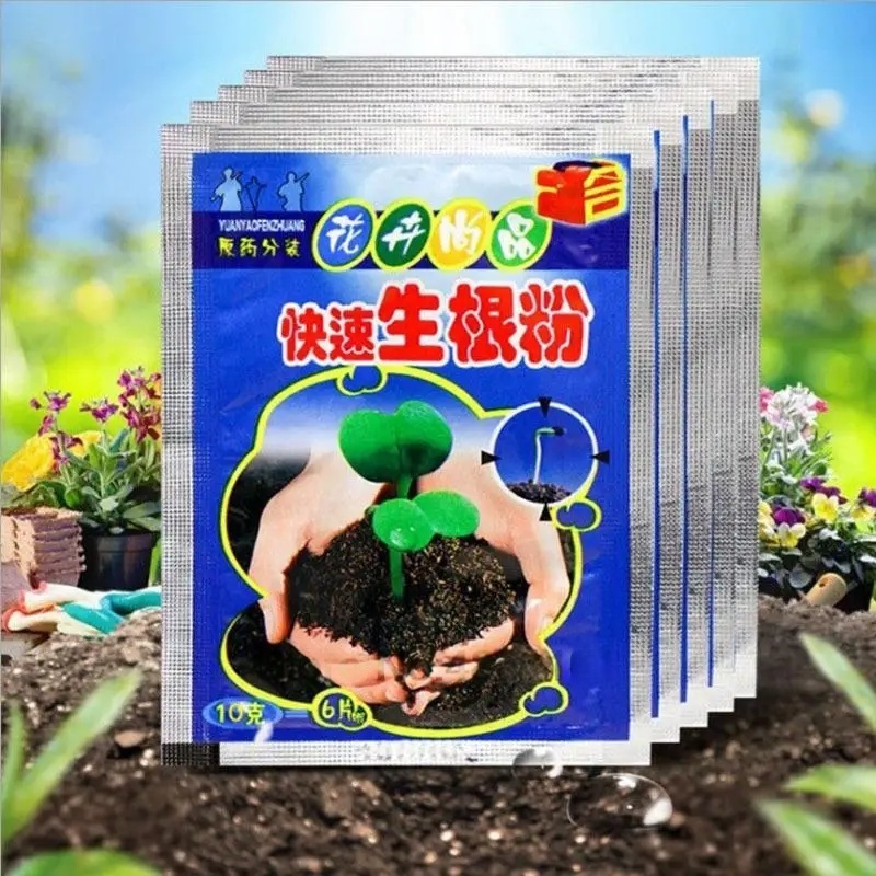 5개입 빠른 발근 분말 식물 급속 발근제 호르몬 성장  - Rooting Hormone Powder 리뷰 및 가격