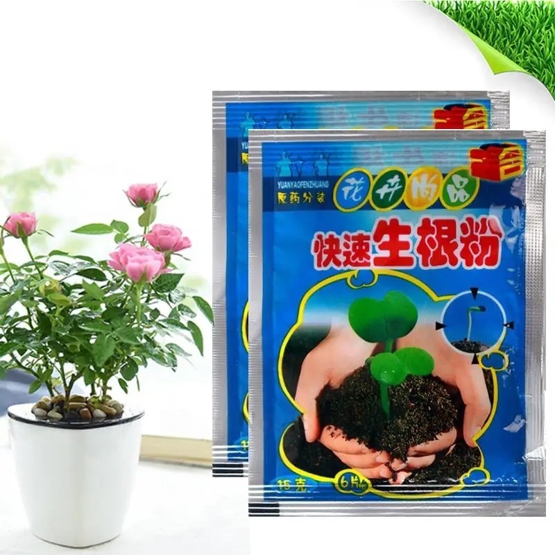 5개입 빠른 발근 분말 식물 급속 발근제 호르몬 성장  - Rooting Hormone Powder 리뷰 및 가격