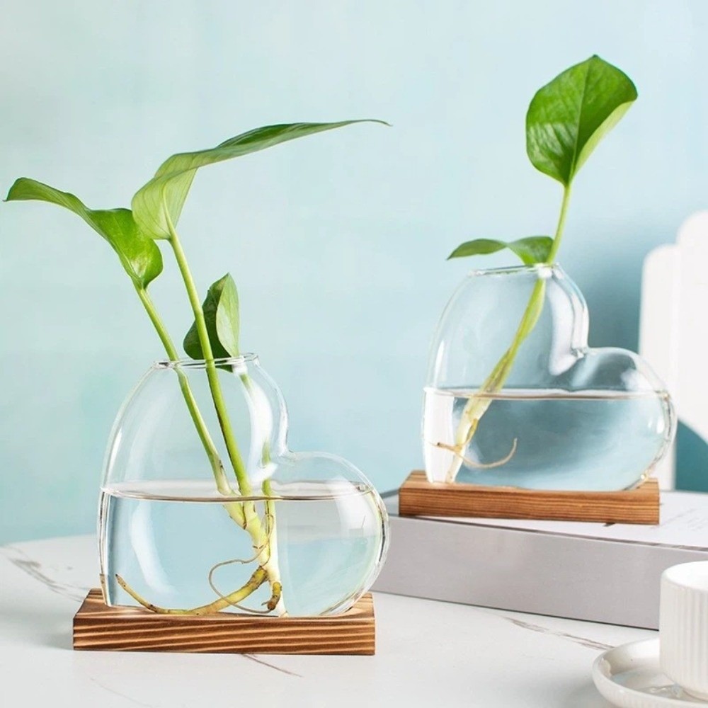 투명한 수경 재배 유리 화병 나무 스탠드 장식용 하트  - Propagation Station Vase 리뷰 및 가격